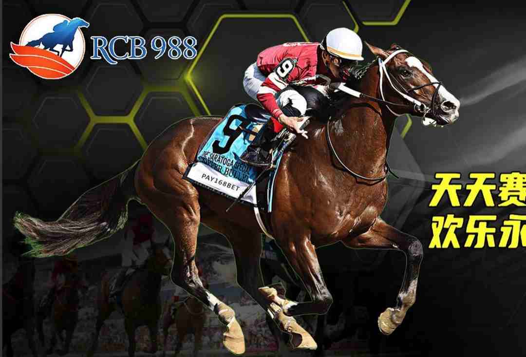 RCB988 nhà phát hành cá cược đua ngựa trực tuyến